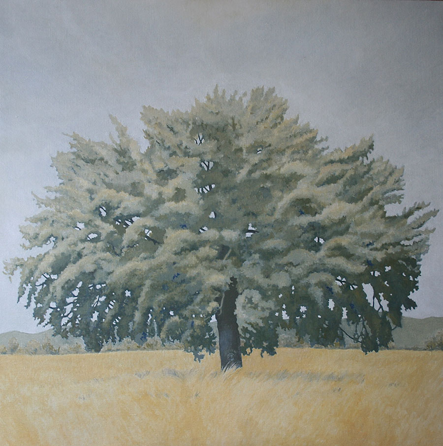 Le grand chêne, 2014